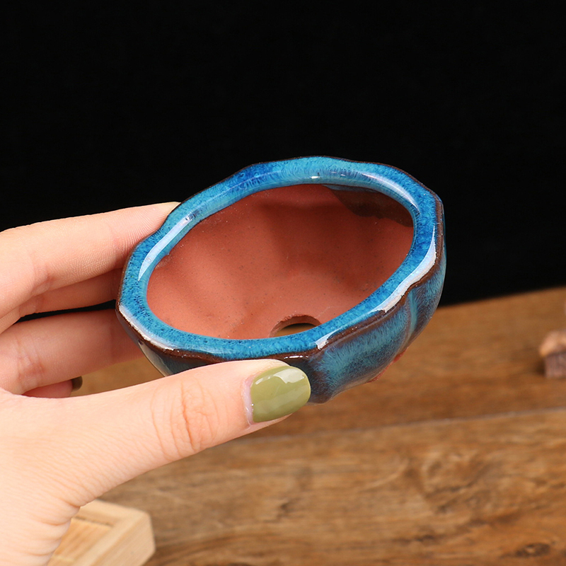 Training Pot Ceramic - Gaya Cina Bonsai Pot Bunga Keramik