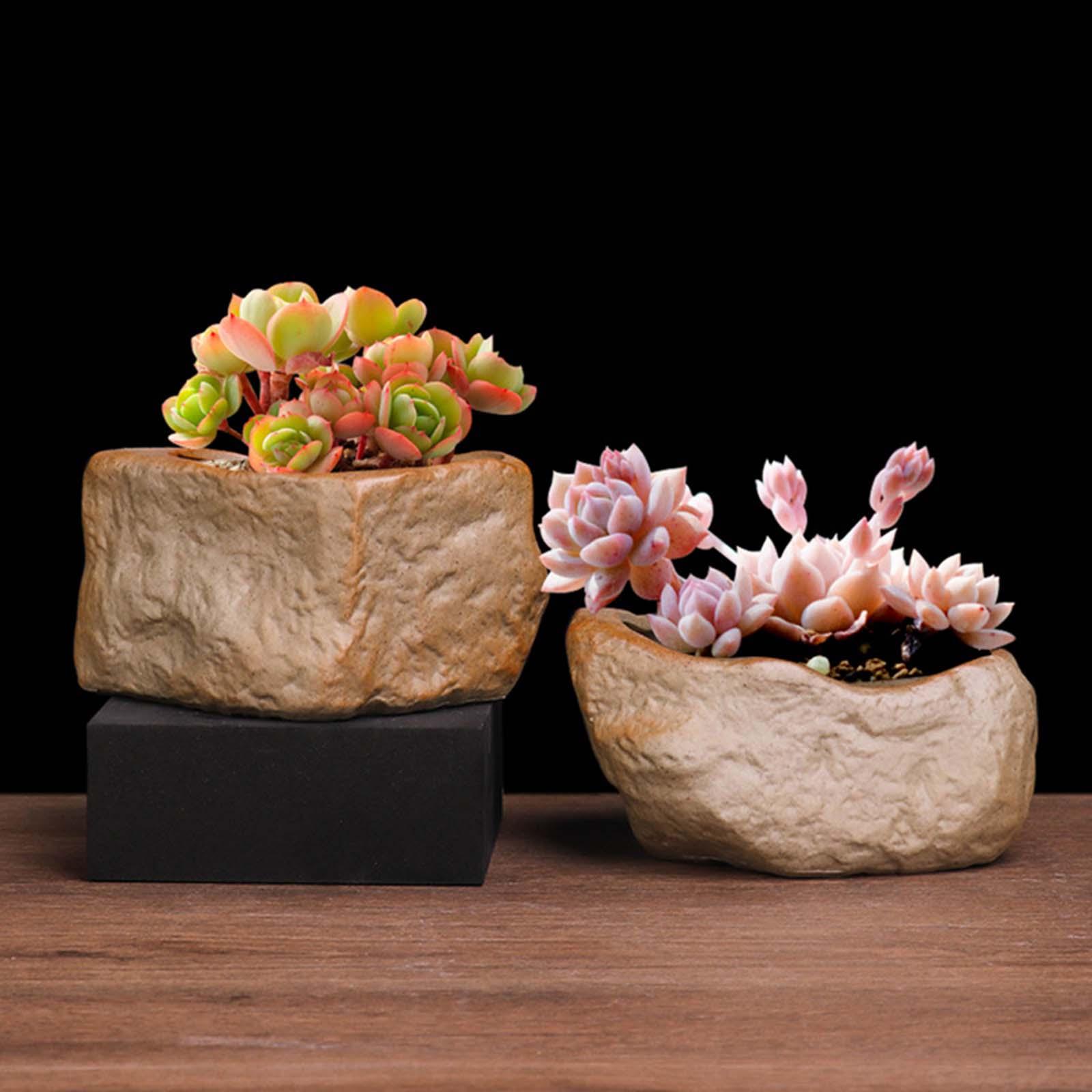 Training Pot Ceramic - Pot Sukulen Keramik Tahan Aus Bentuk