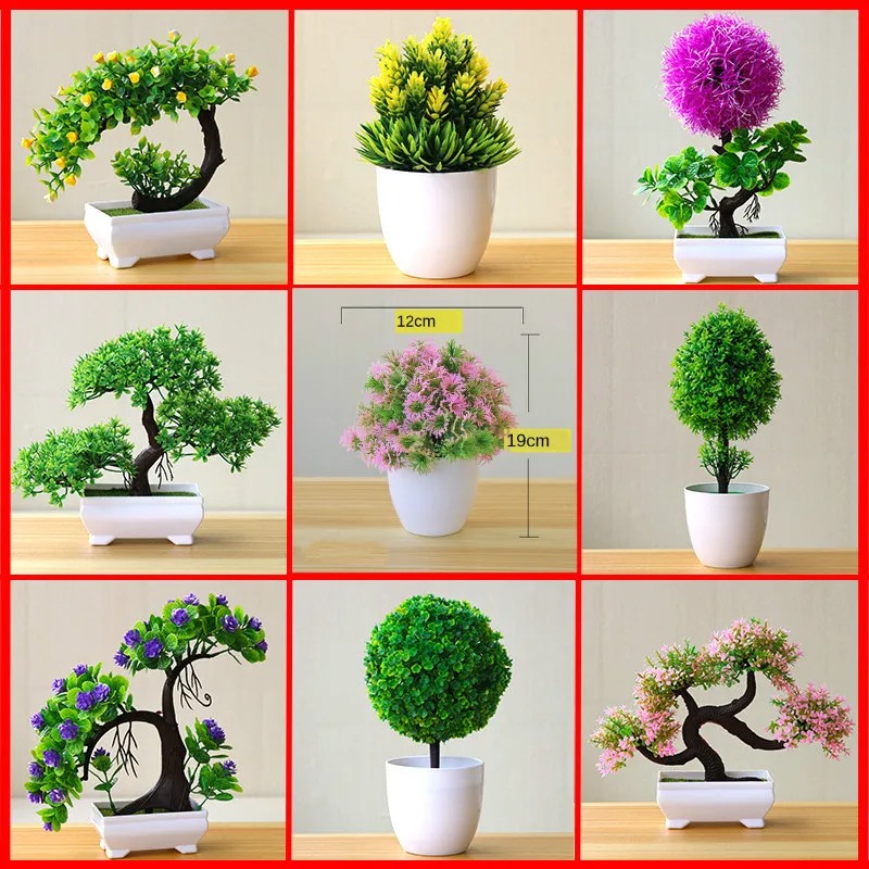 Bonsai Gardenia - Tanaman Pohon Kecil Buatan dalam Pot,
