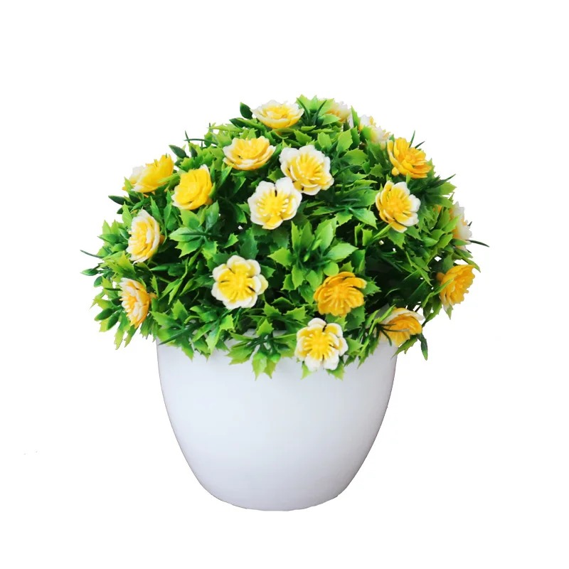 Keramik Pot bunga Mini berdagi - Training Pot Ceramic ulasan dan harga