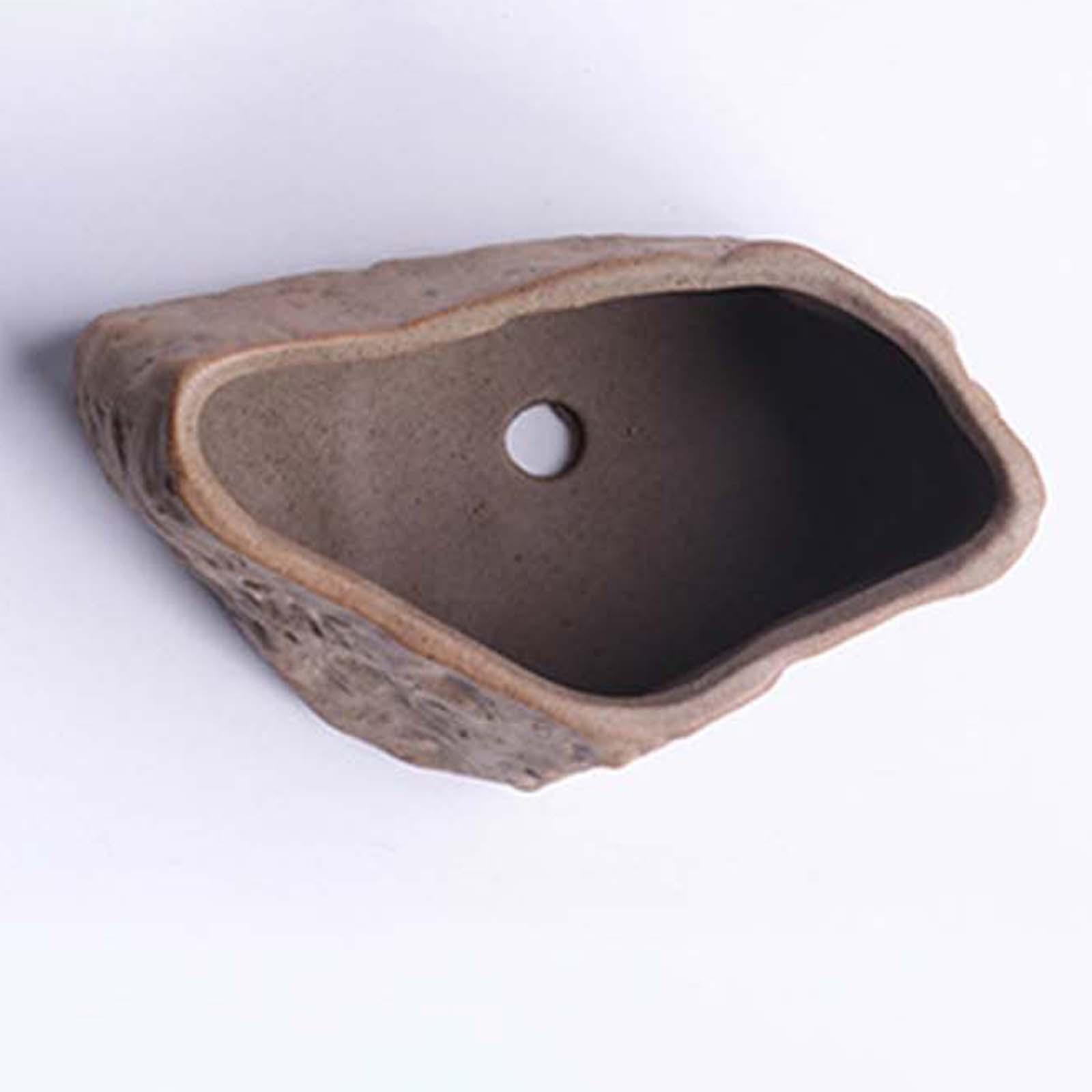Pot Keramik untuk Sukulen, Pot - Training Pot Ceramic ulasan dan harga