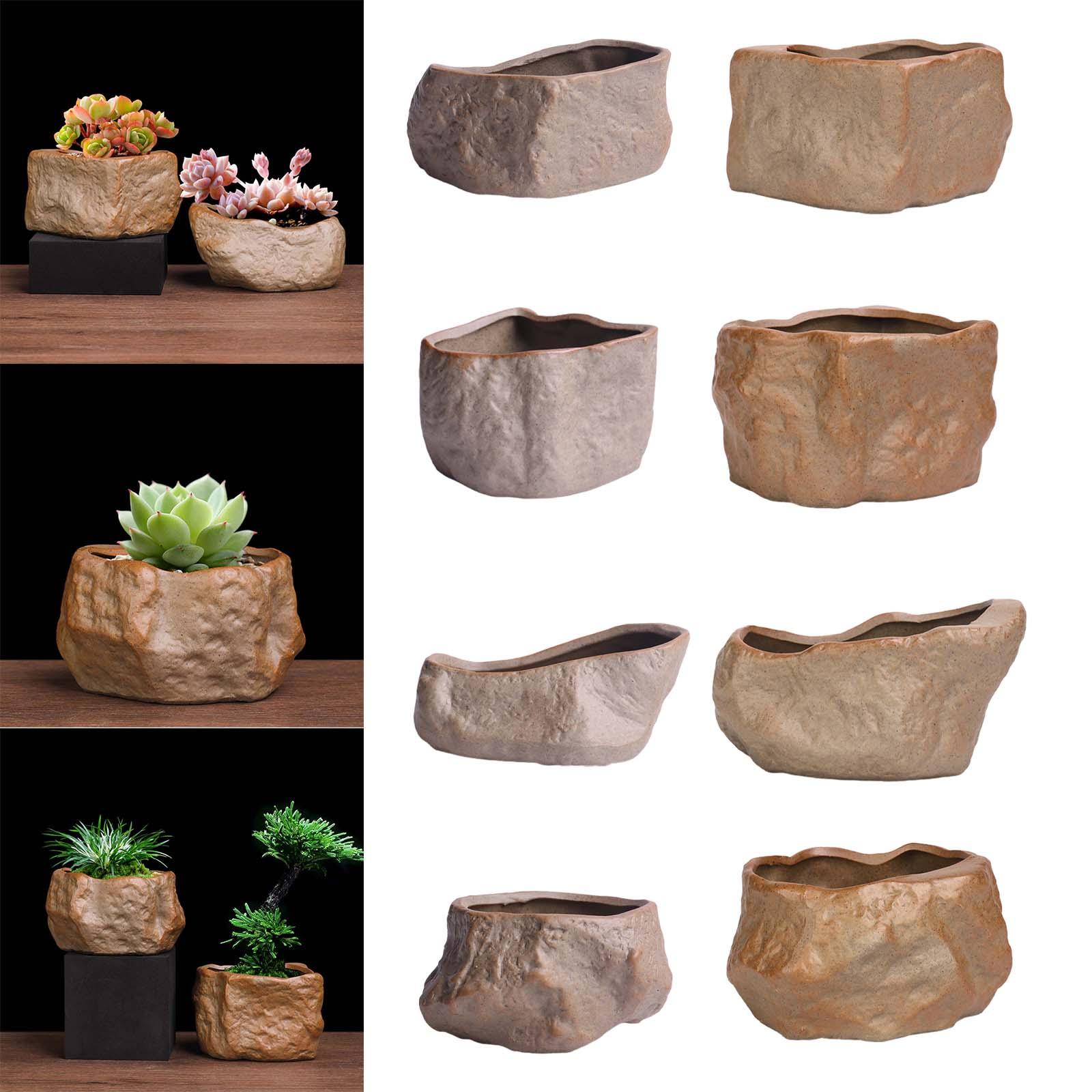 Pot Keramik untuk Sukulen, Pot - Training Pot Ceramic ulasan dan harga