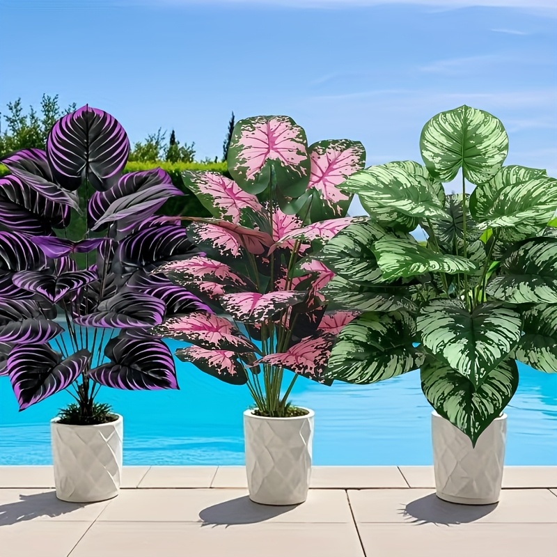 3 Buah 60Cm Set Tanaman Hijau  - Bonsai Gardenia ulasan dan harga