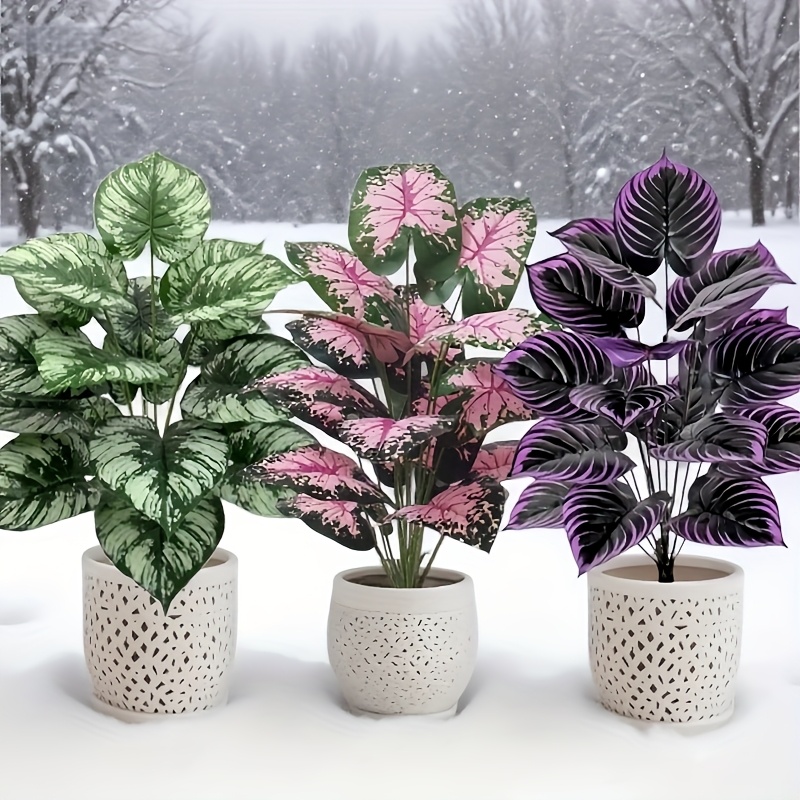 3 Buah 60Cm Set Tanaman Hijau  - Bonsai Gardenia ulasan dan harga