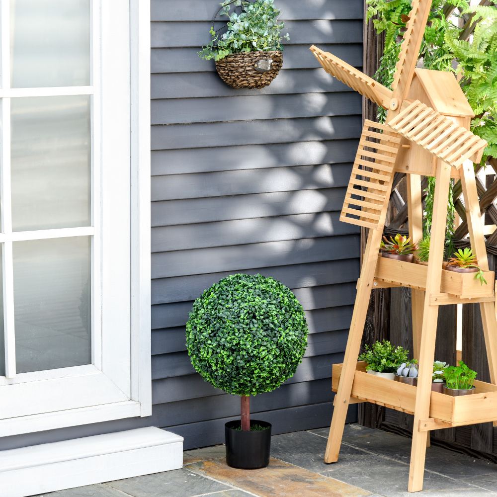 Pohon Bola Topiary Boxwood Bua - Bonsai Gardenia ulasan dan harga