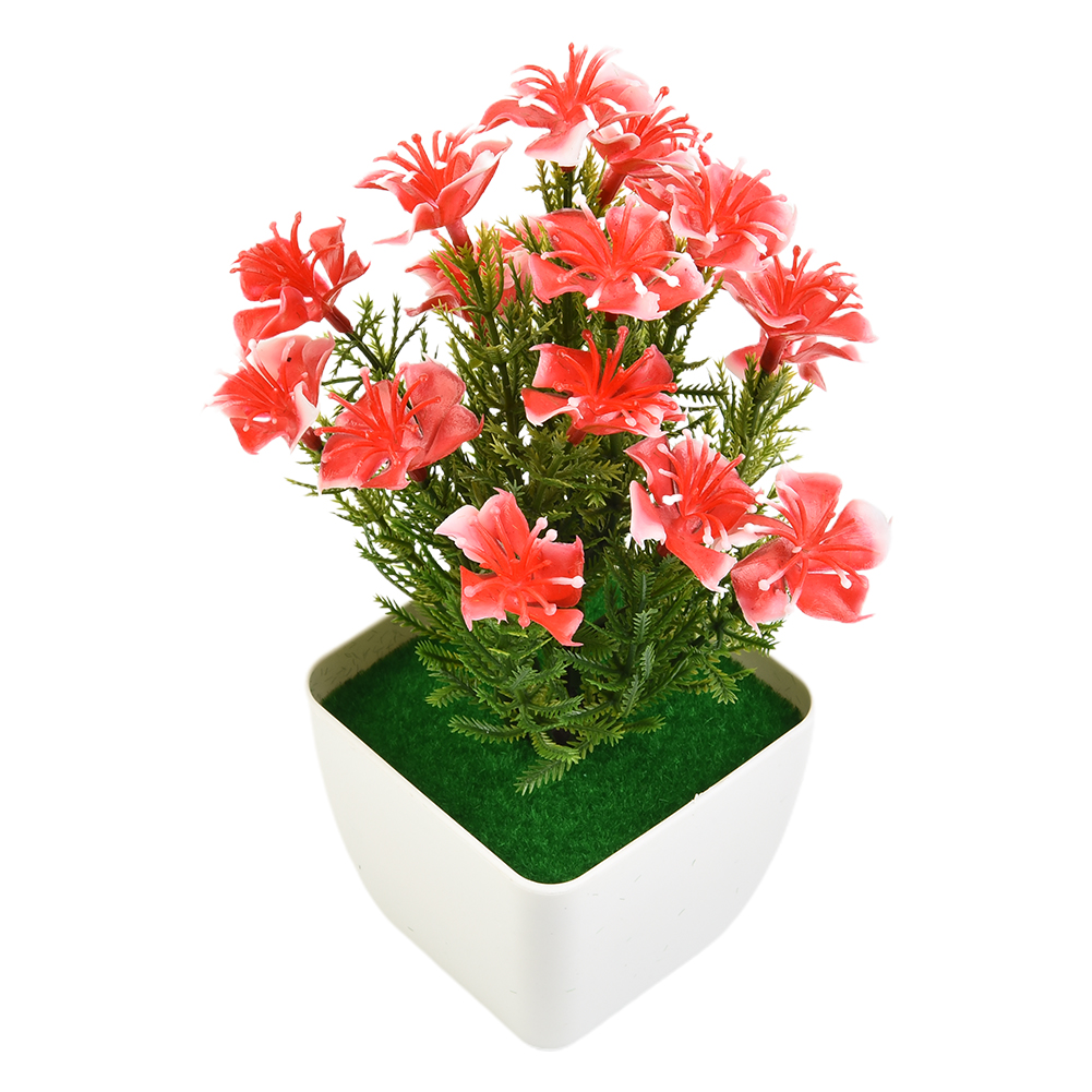 Aksesoris Baru Terlaris: Bonsa - Bonsai Garden For Sale ulasan dan harga