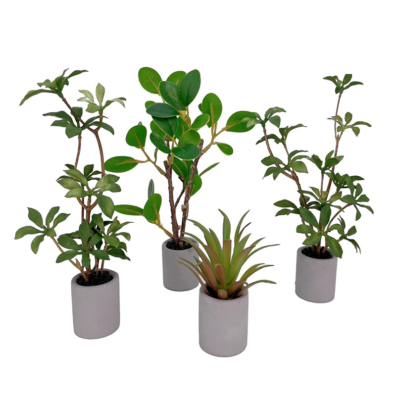 1:6 miniatur rumah boneka Pot  - Bonsai Gardenia ulasan dan harga