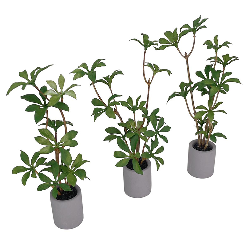 1:6 miniatur rumah boneka Pot  - Bonsai Gardenia ulasan dan harga