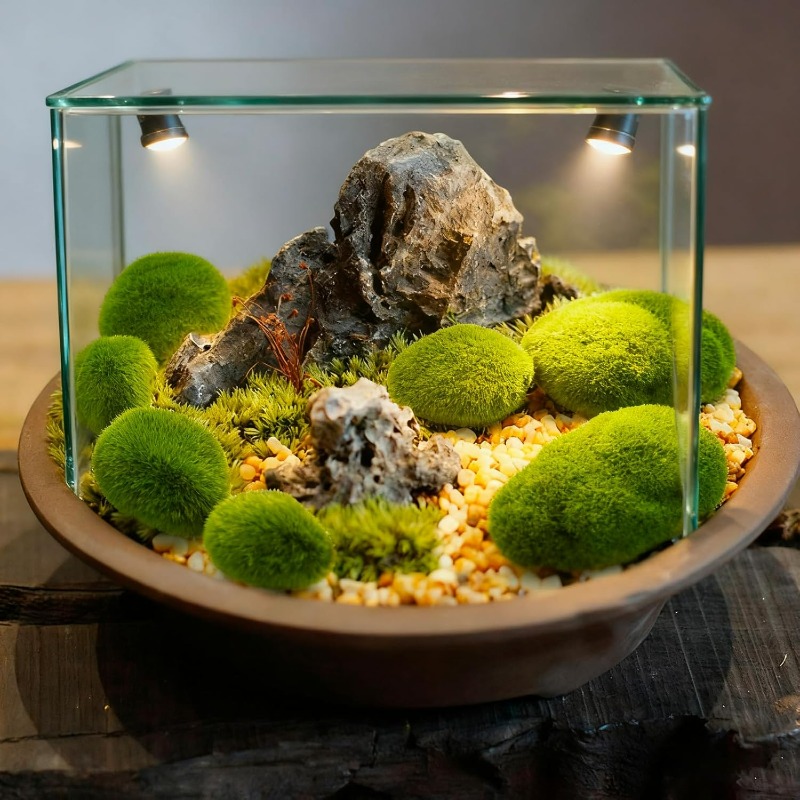 50/5 Buah Batu Lumut Busa Buat - Bonsai Rock Garden ulasan dan harga