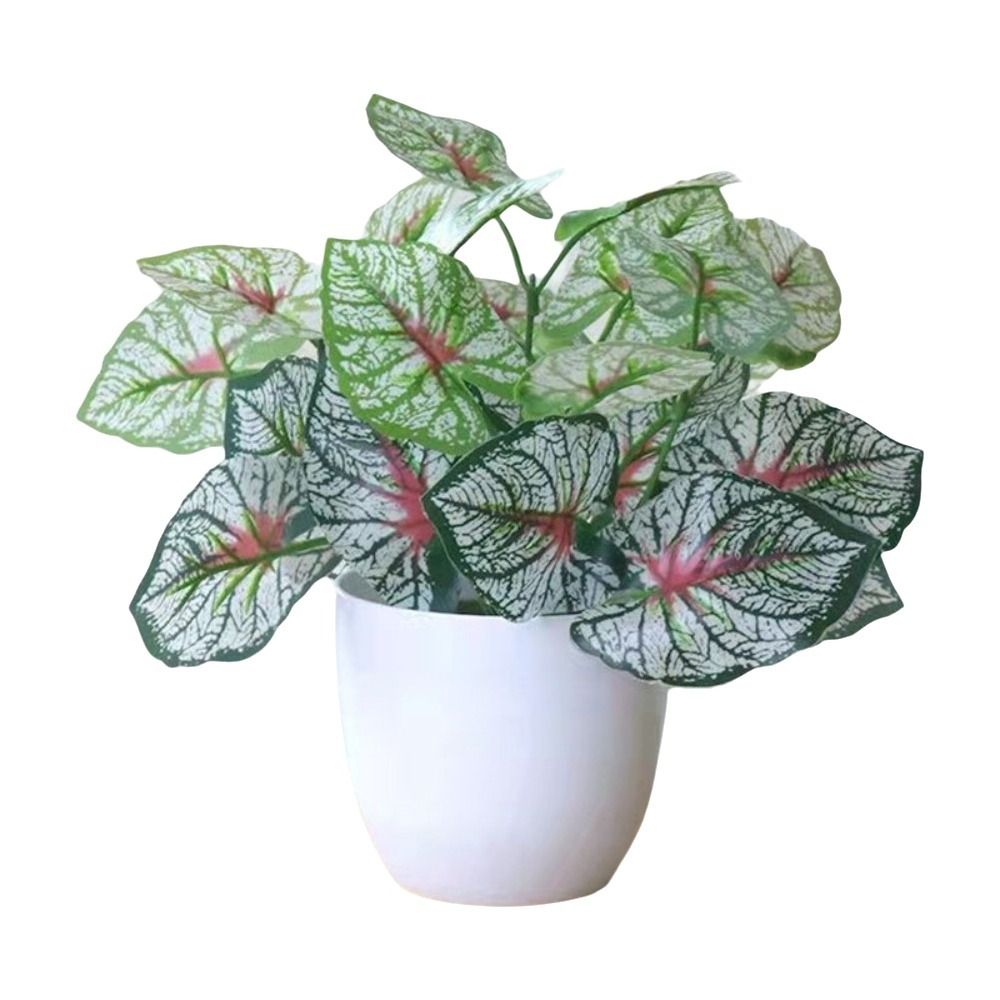 Bunga Palsu Mini dalam Pot Bon - Bonsai Gardenia ulasan dan harga