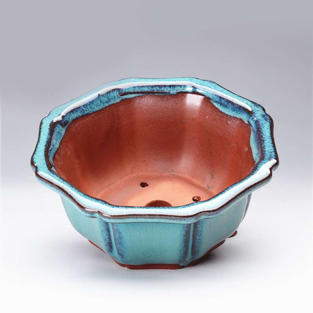 Gaya Cina Pot Bonsai Bernapas  - Training Pot Ceramic ulasan dan harga